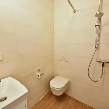 Domillion Duplex 11 Ppl 4baths Vokieciu V10c