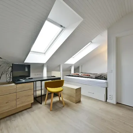 Domillion Duplex 11 Ppl 4baths Vokieciu V10c Appartamento