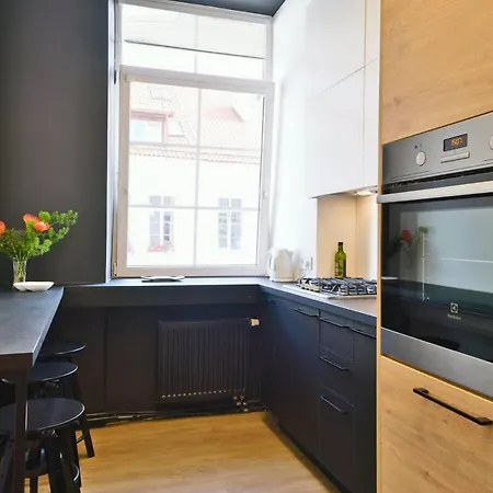 Appartamento Domillion Duplex 11 Ppl 4baths Vokieciu V10c