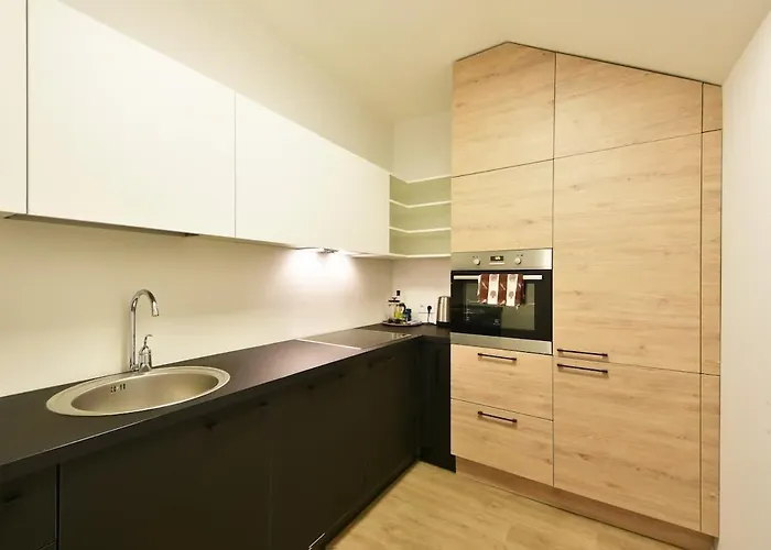 アパート Domillion Duplex 11 Ppl 4baths Vokieciu V10c *