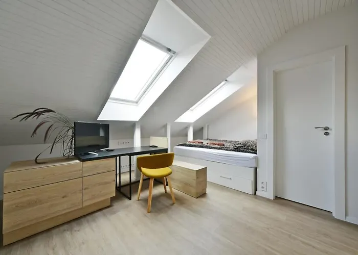 Domillion Duplex 11 Ppl 4baths Vokieciu V10c Apartamento