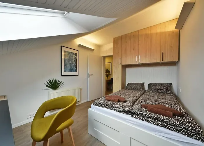 Domillion Duplex 11 Ppl 4baths Vokieciu V10c *