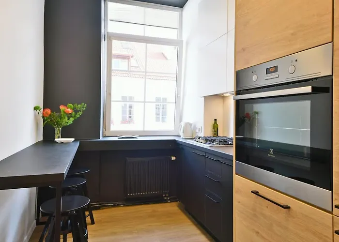 Apartment Domillion Duplex 11 Ppl 4baths Vokieciu V10c