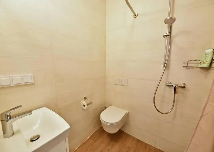 Domillion Duplex 11 Ppl 4baths Vokieciu V10c